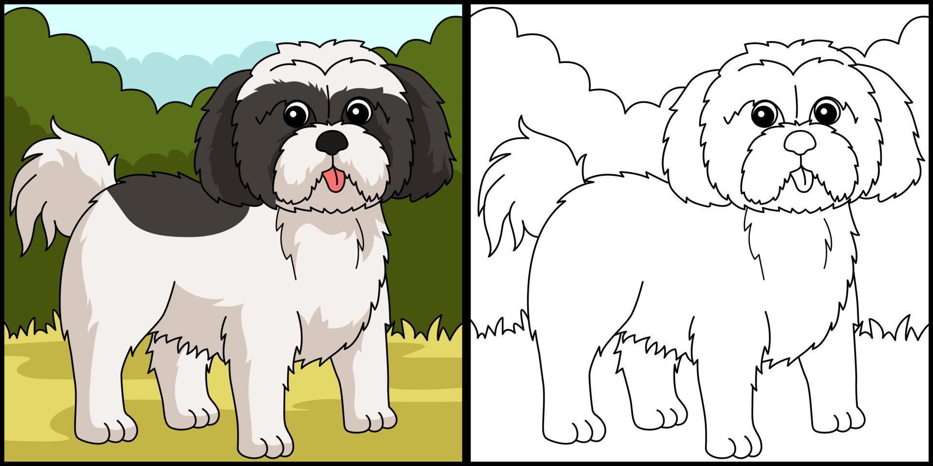 Shih Tzu Dog Coloring Page Colored Illustration vector