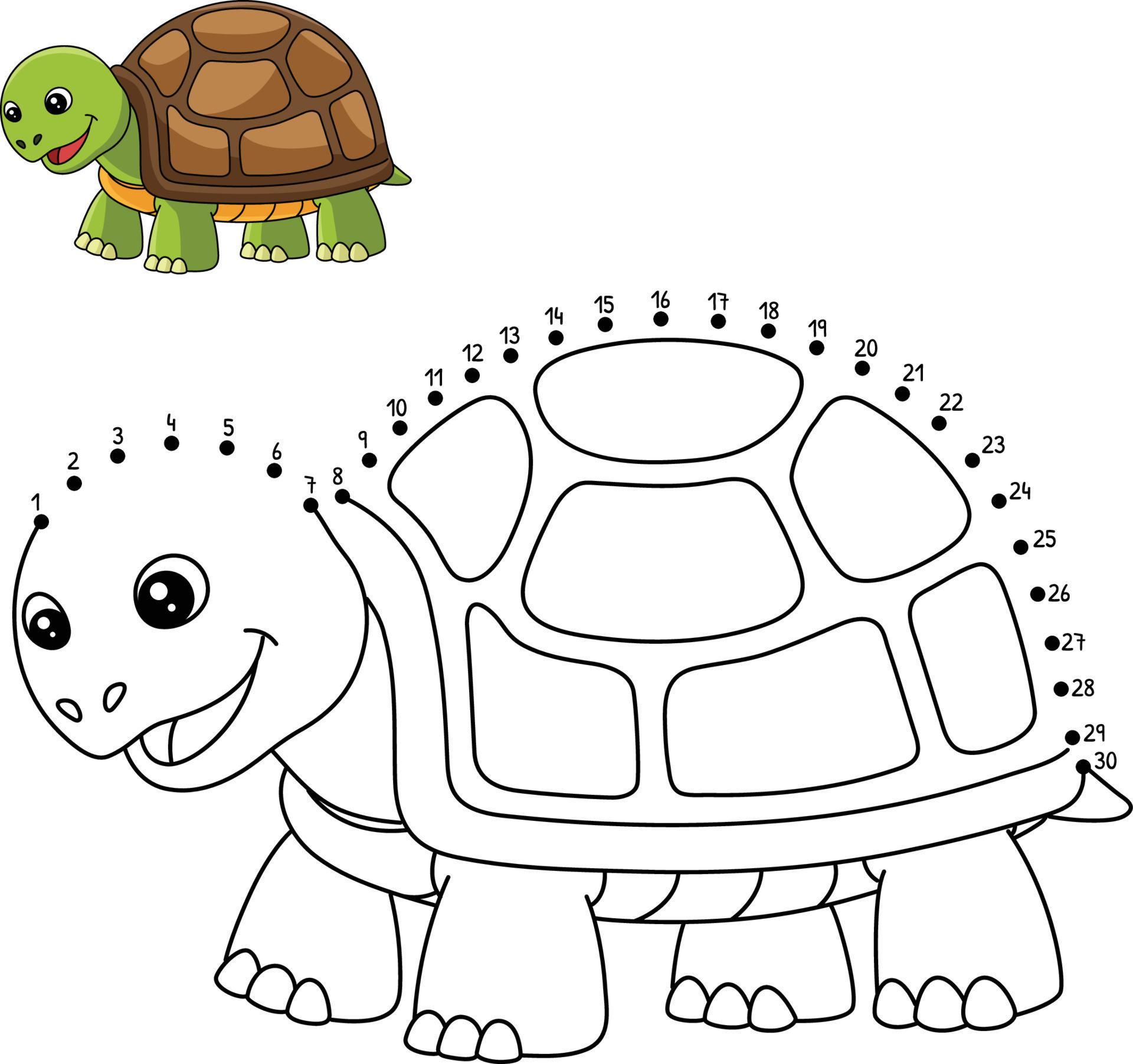 Dot to Dot Turtle Coloring Page for Kids 8208682 Vector Art at Vecteezy