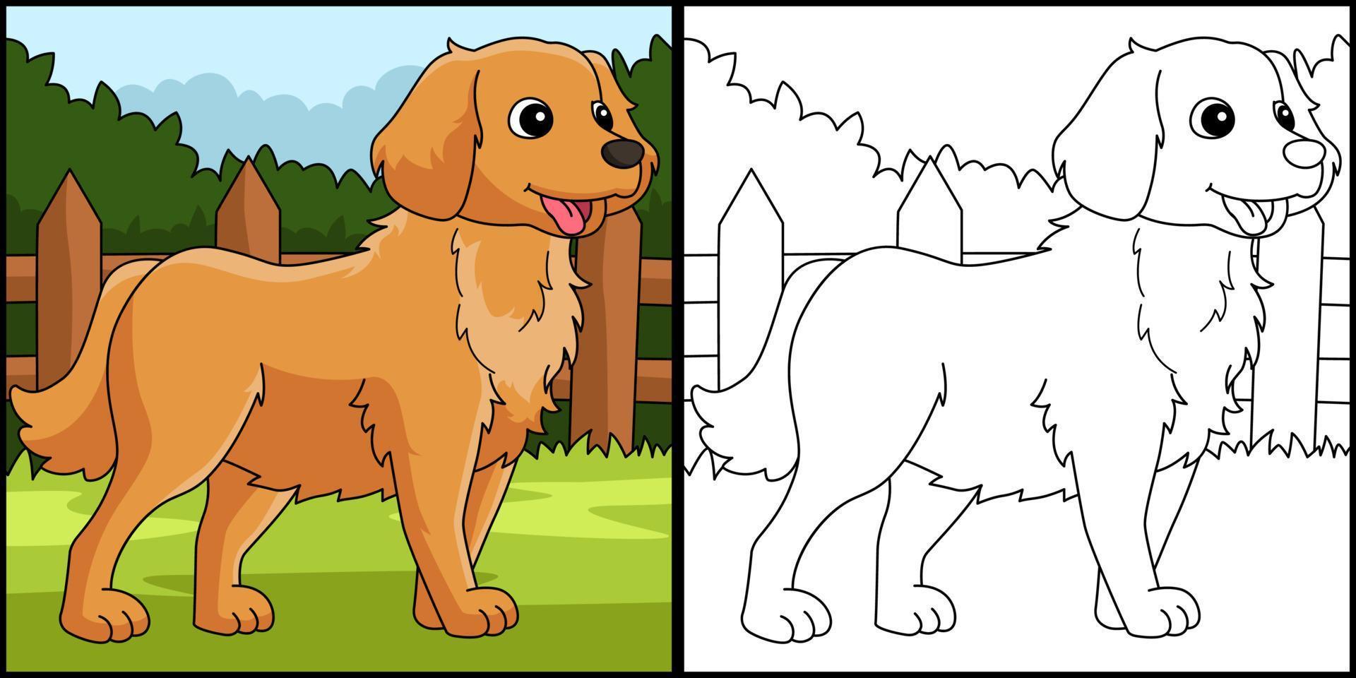 Ilustración de página para colorear de perro golden retriever vector