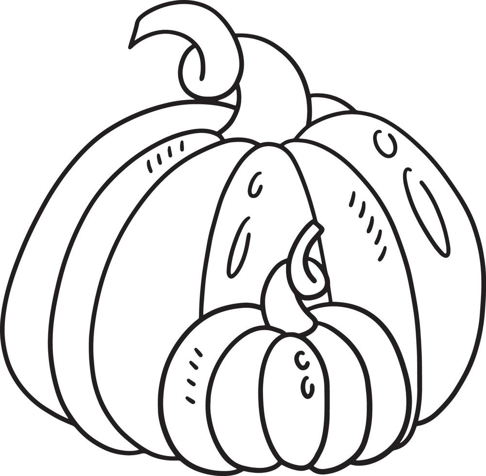 acción de gracias, calabaza, aislado, colorido, página vector