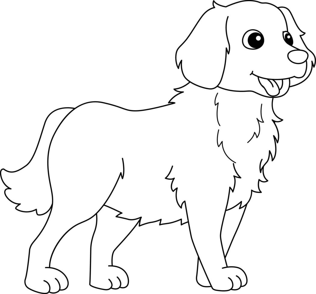 perro golden retriever página para colorear para niños vector