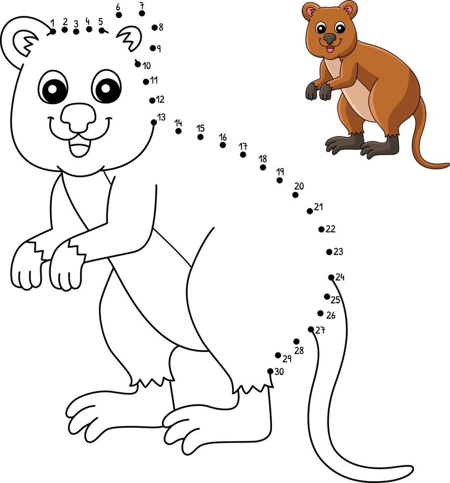 Dot to Dot Quokka Animal Coloring Page for Kids vector