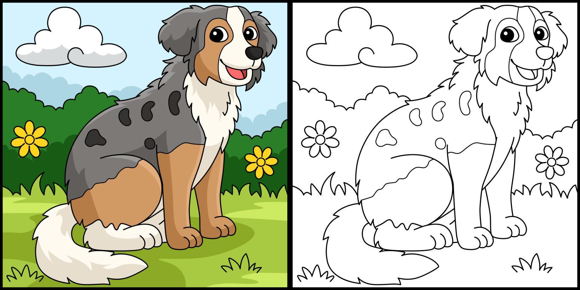 Australian Shepherd Dog Coloring Page Illustration vector