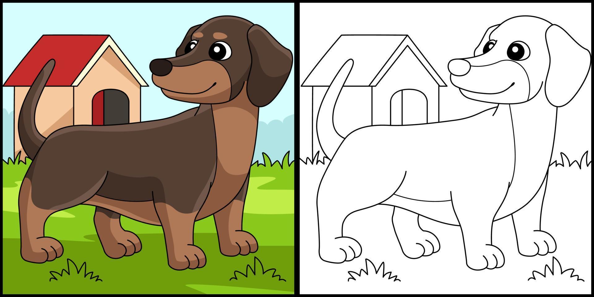 perro salchicha para colorear página coloreada ilustración vector