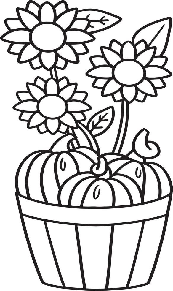 Thanksgiving Pumpkin Sunflower Isolated Coloring vector