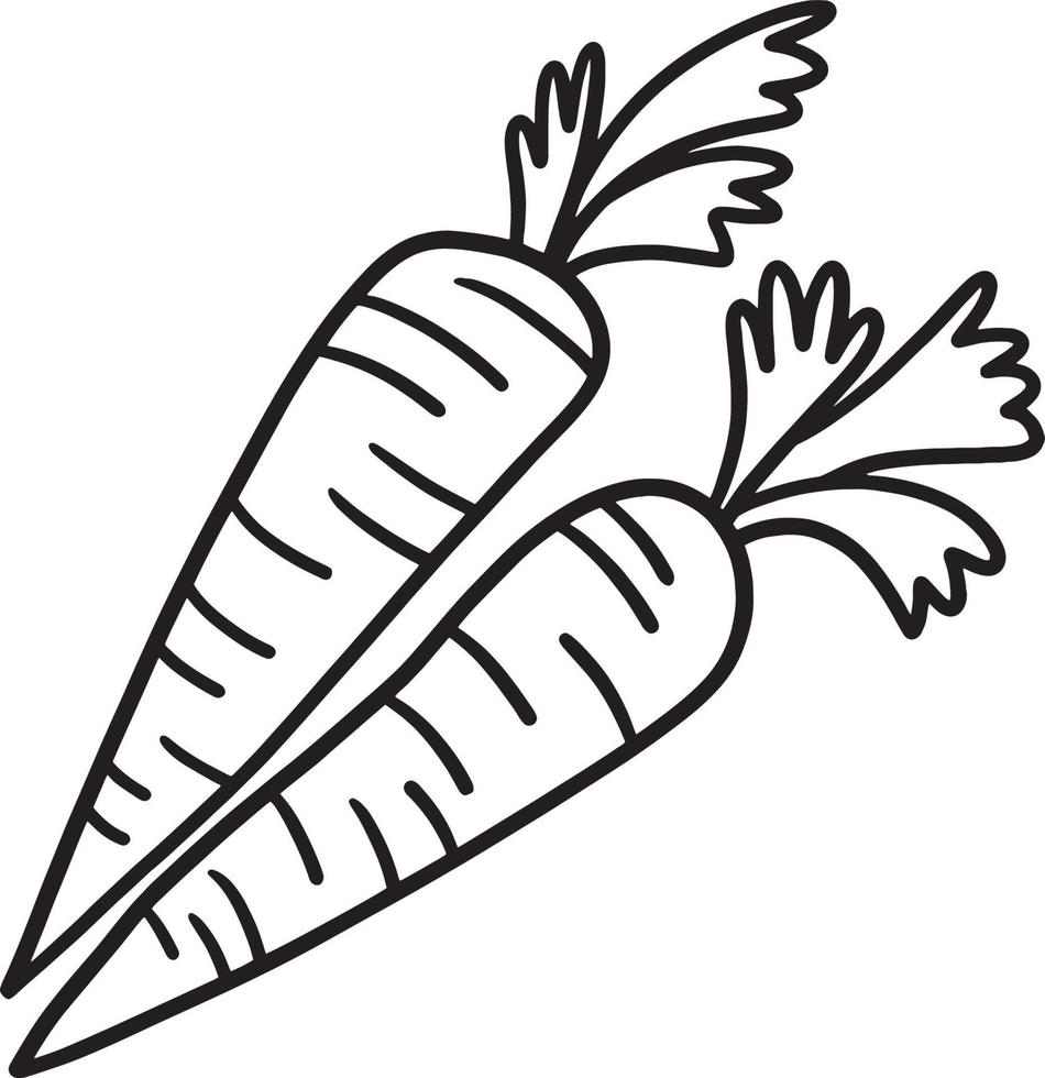 Thanksgiving Harvest Carrot Isolated Coloring vector