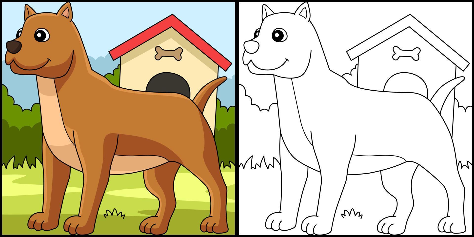 Pitbull Dog Coloring Page Colored Illustration vector