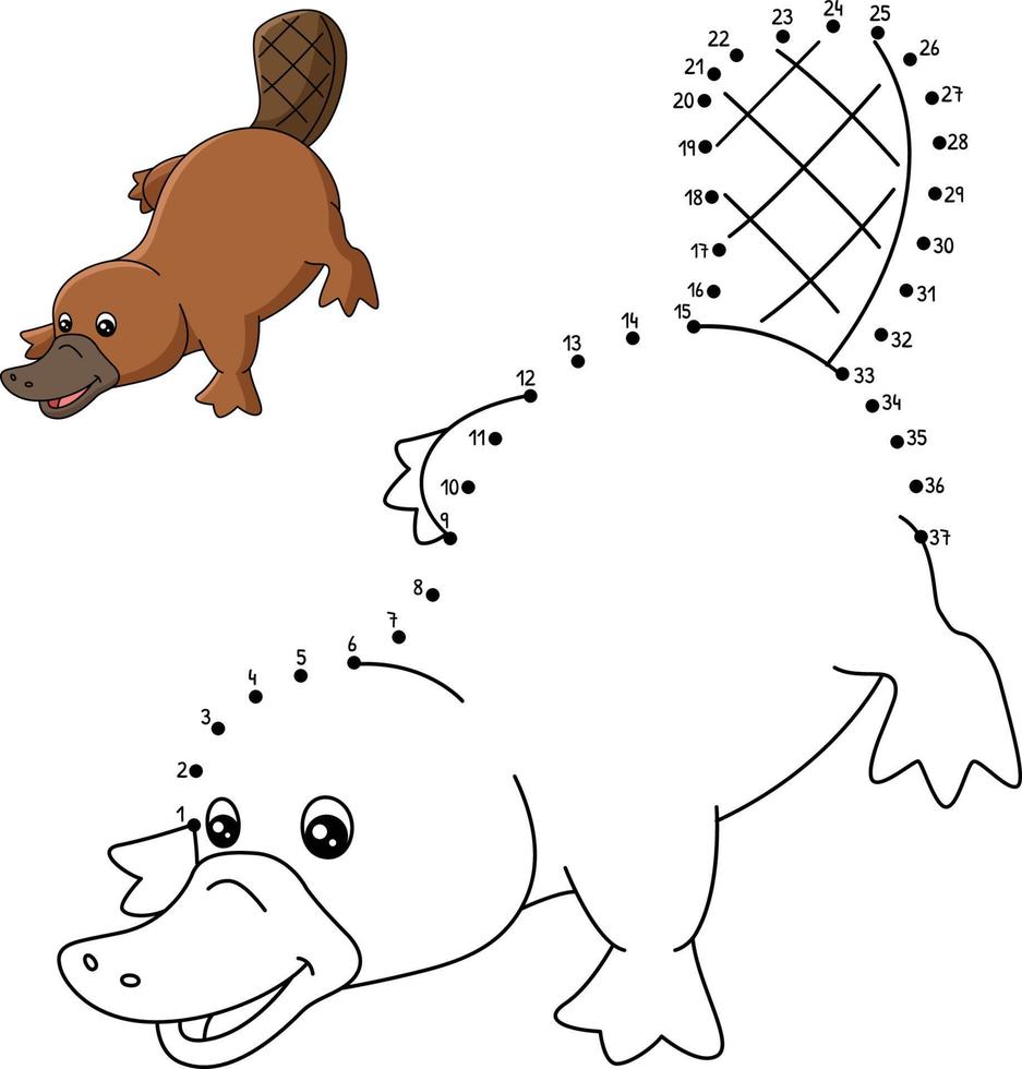 Dot to Dot Platypus Coloring Page for Kids vector