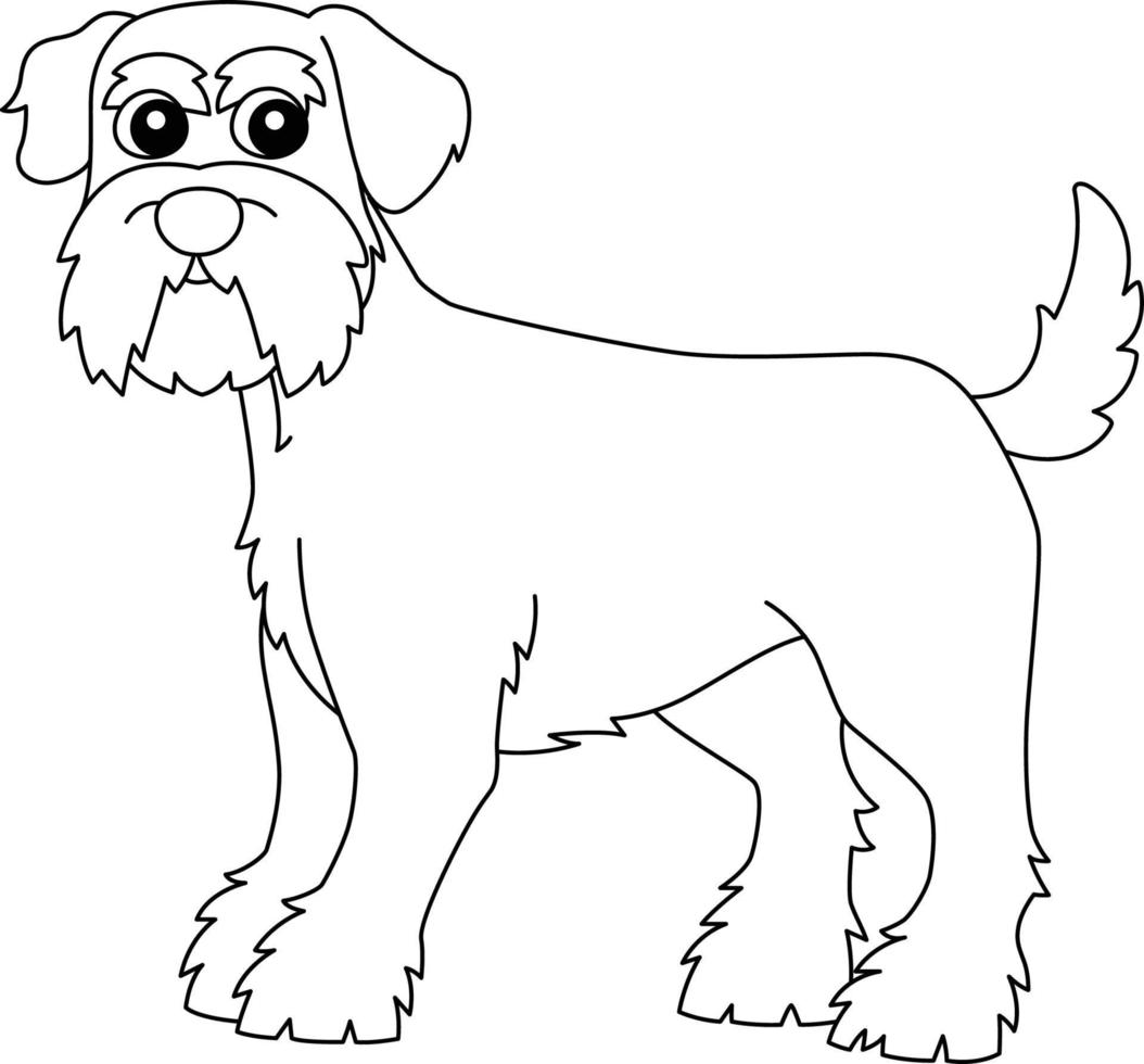 Schnauzer Dog Coloring Page Isolated for Kids vector