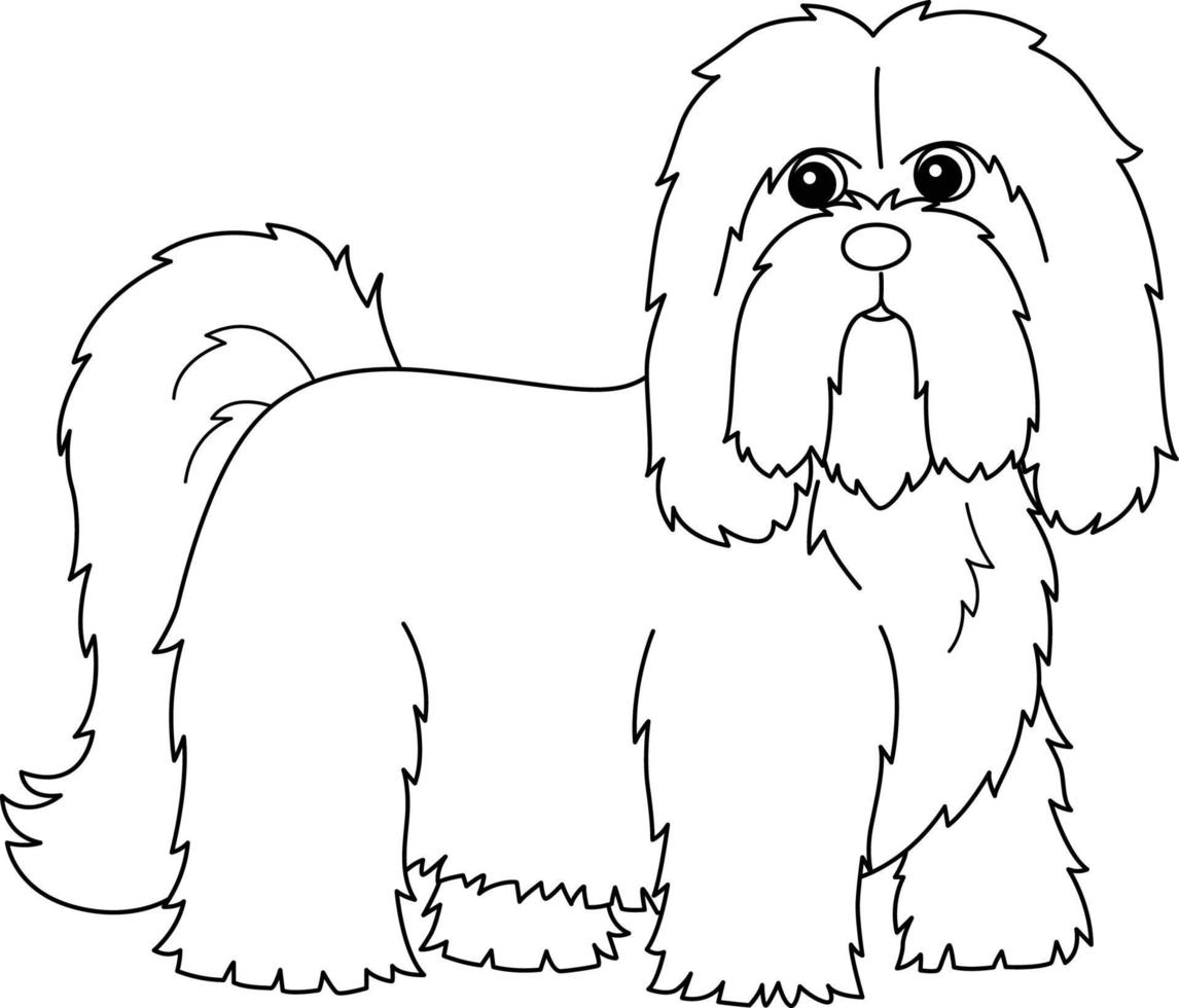 Lhasa Apso Dog Coloring Page Isolated for Kids vector