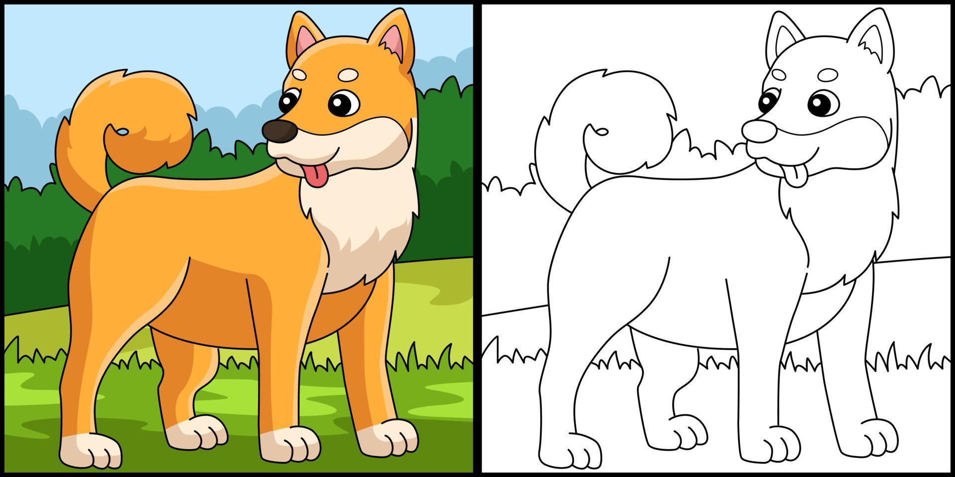 Shiba Inu Dog Coloring Page Colored Illustration vector