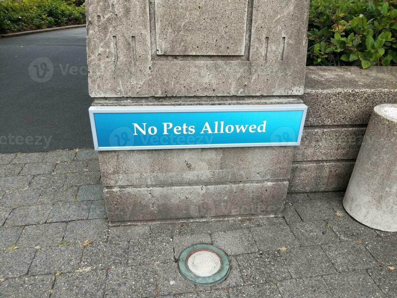 blue no pets allowed sign on cement wall photo