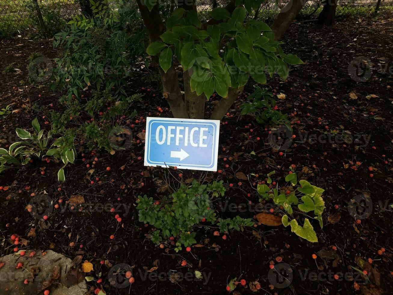 blue office sign with white arrow on ground photo