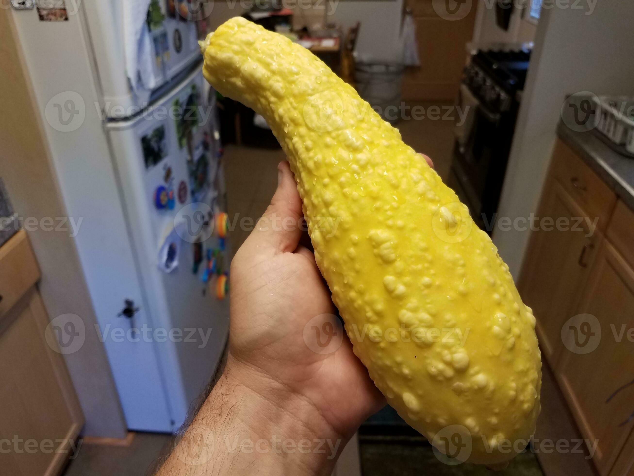 hand holding large yellow squash with bumps in kitchen 8210515 Stock