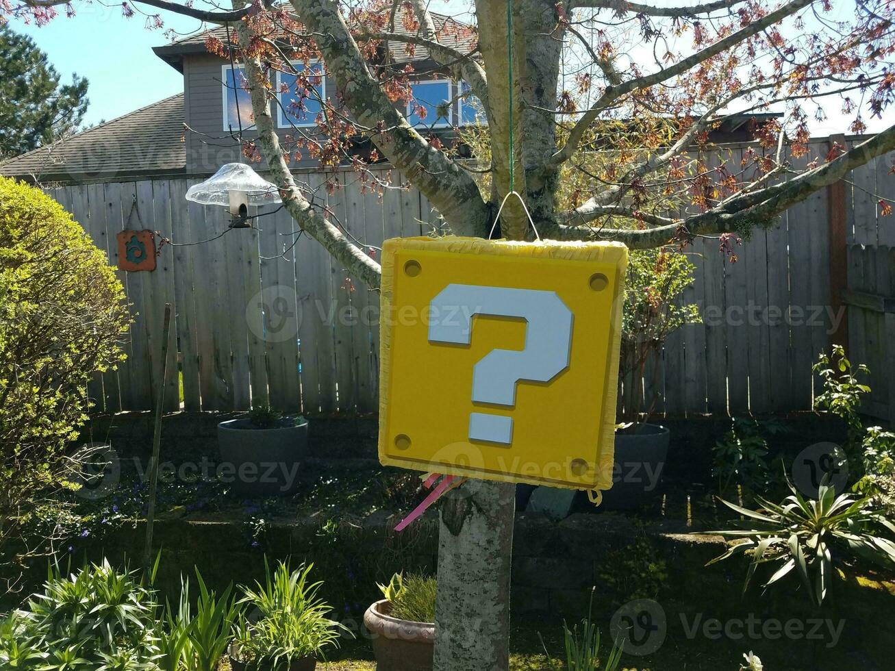 yellow question mark block pinata hanging from tree photo