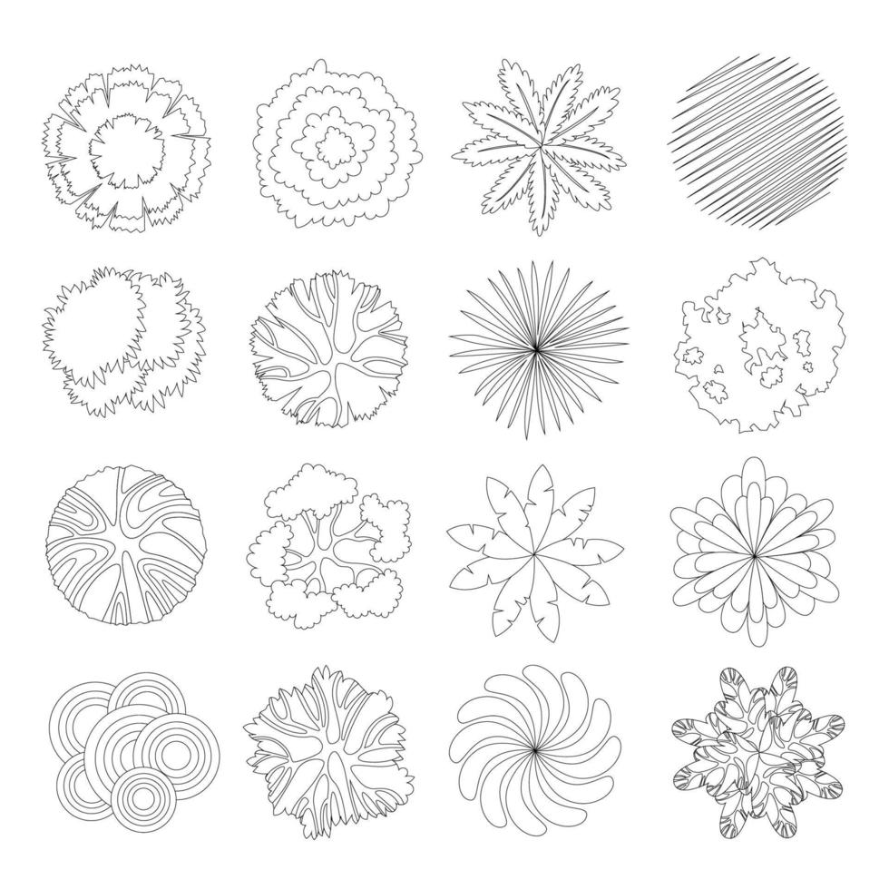 Set of Tree Plan Outline vector