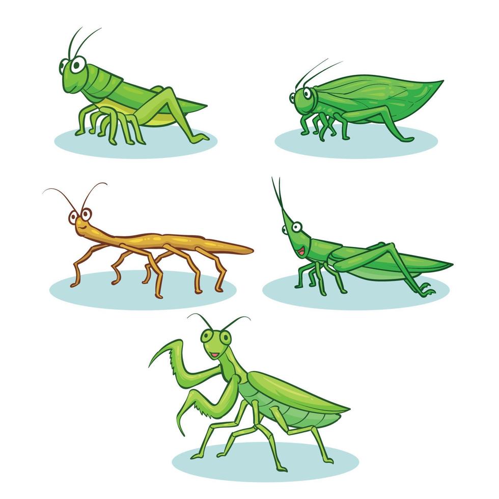 hand drawn grasshoppers collection 1 vector
