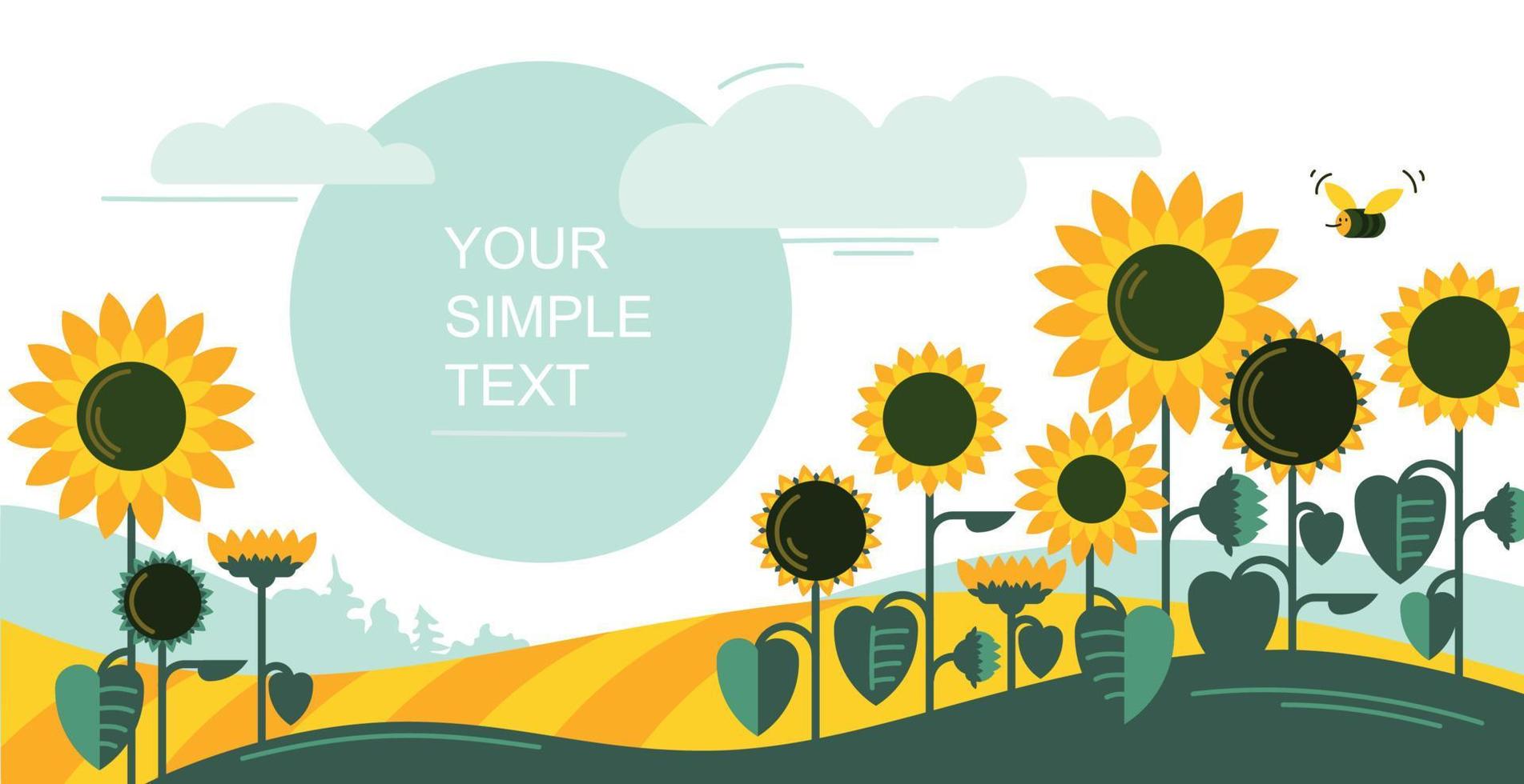 Sunflowers. Sunflower field. Banner. Vector image.