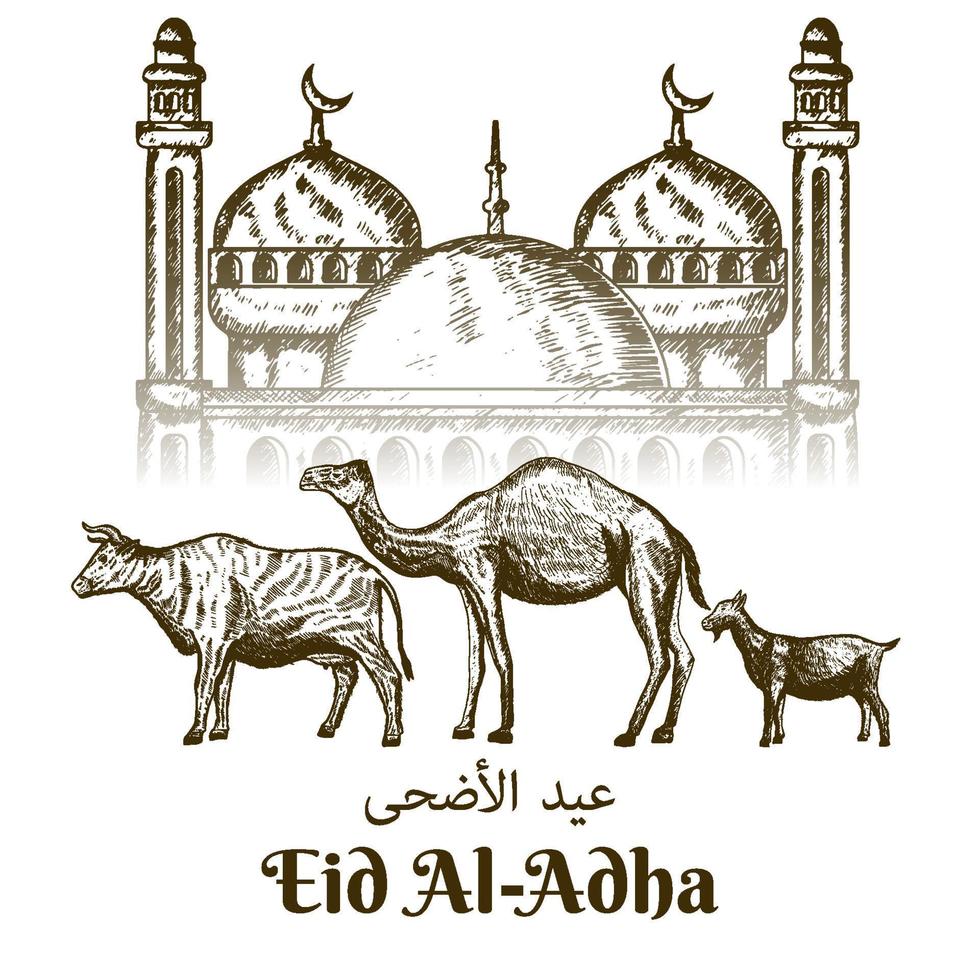 hand drawn eid al adha with cow, camel, and goat on mosque background vector