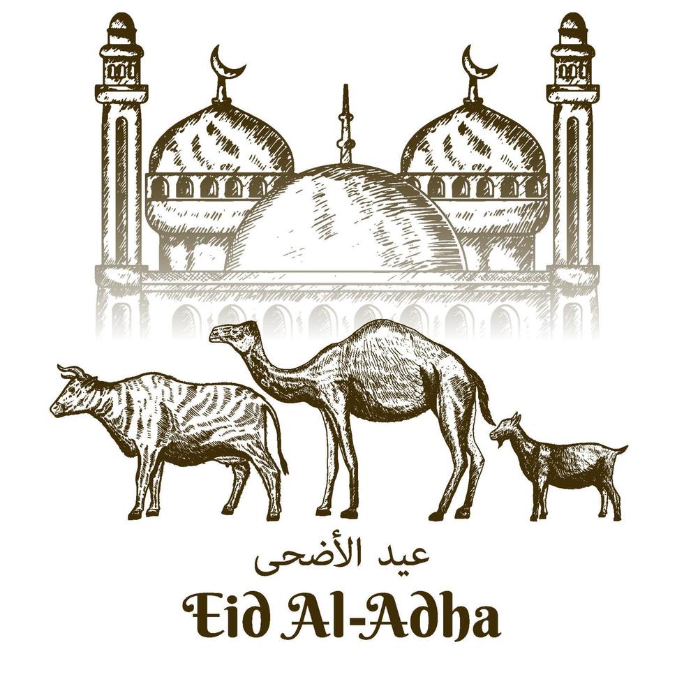 eid al adha dibujado a mano con vaca, camello y cabra en el fondo de la mezquita vector