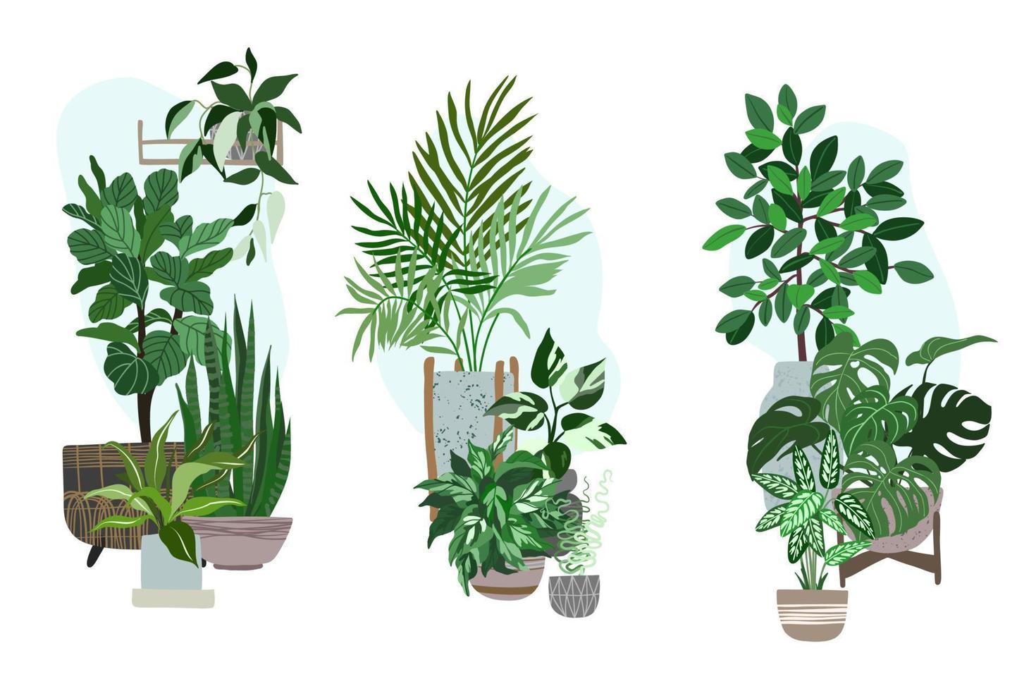 tres composiciones con diferentes plantas en macetas, ilustración vectorial dibujada a mano vector