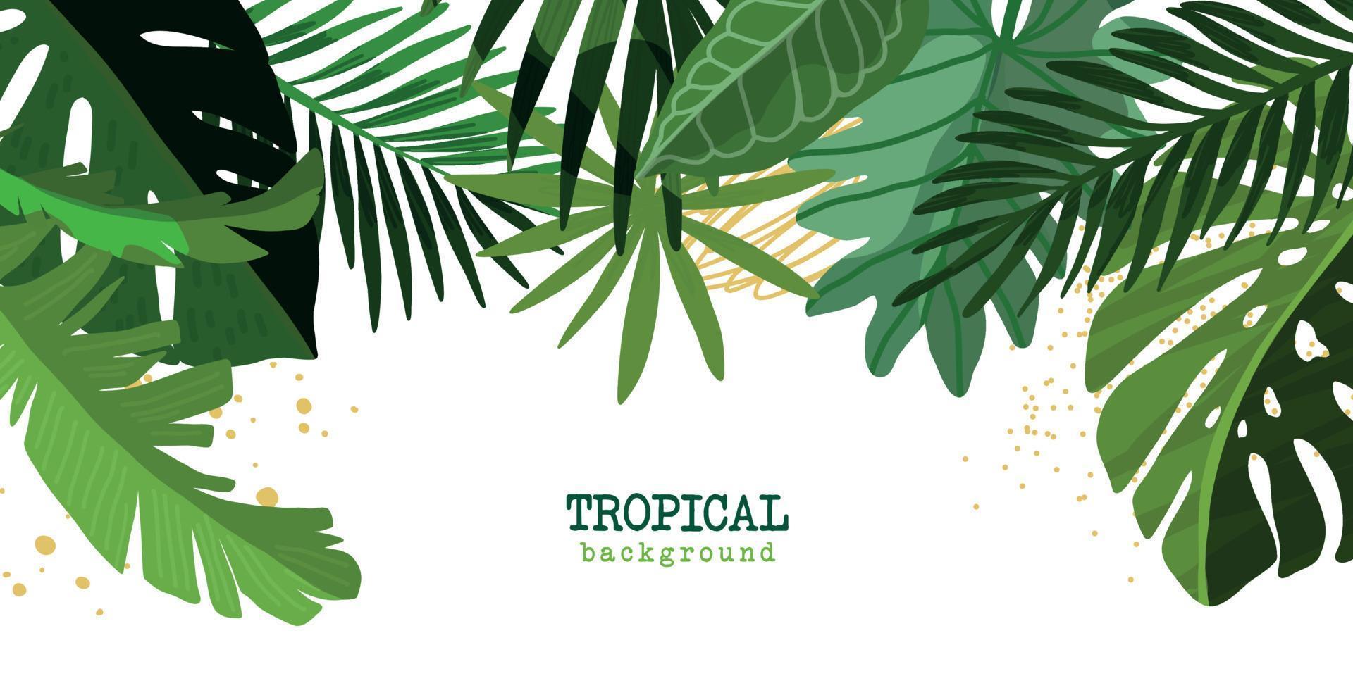 Tropical floral background, green monstera and palm leaves vector