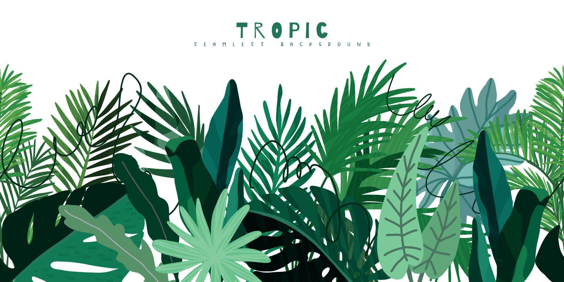 Tropical seamless border, monstera palm philodendron leaves vector