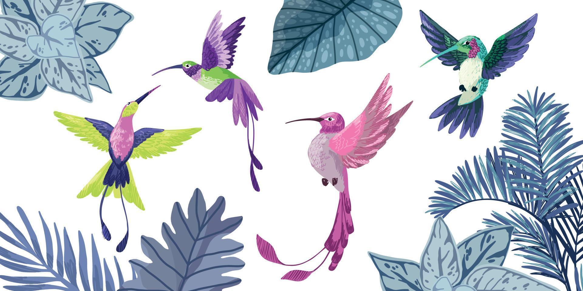Set of four hummingbirds, hand drawn vector