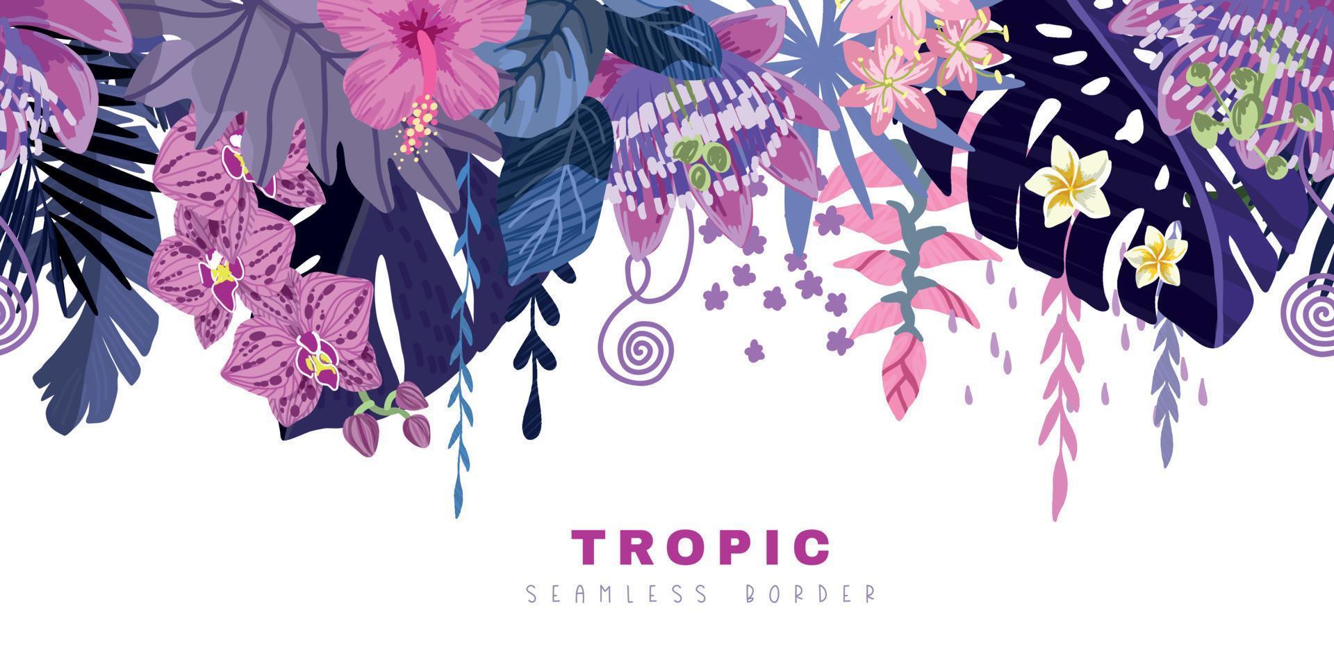 borde tropical sin costuras, hojas de monstera púrpura y flores tropicales rosas vector