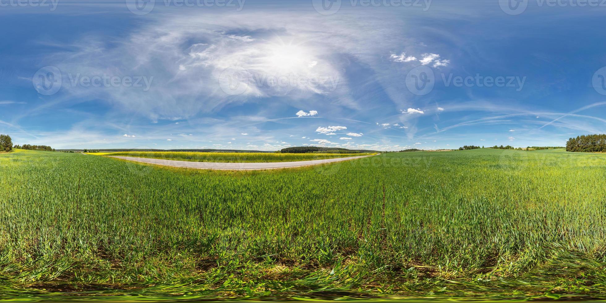full 360 degree seamless panorama in equirectangular spherical equidistant projection. Panorama in a field near a road with rapeseed in sunny day. Background for virtual reality content photo