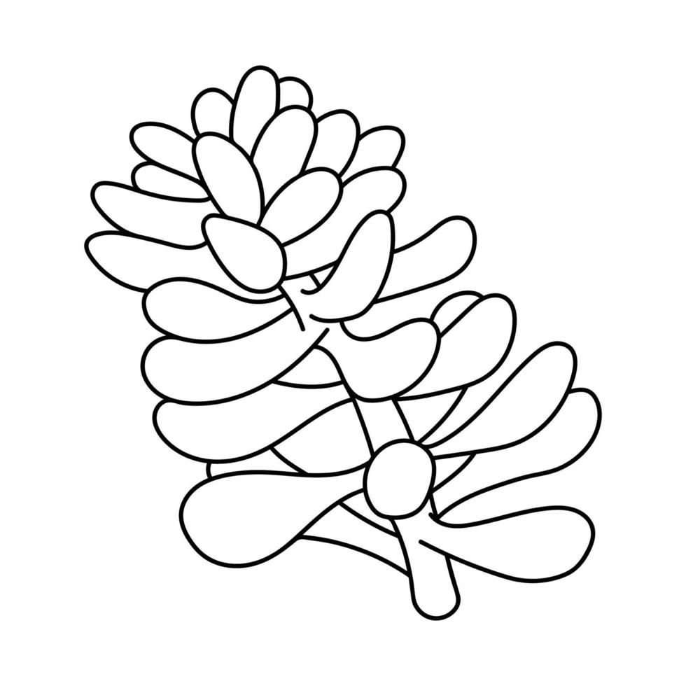 Hand drawn cute succulent in style doodle. Vector illustration, isolated elements on a white background.