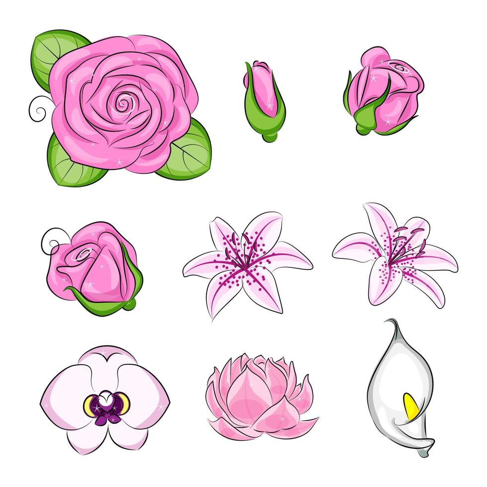 conjunto de flores de dibujos animados rosa lirio orquídea lirio de agua y kala ilustración vectorial vector