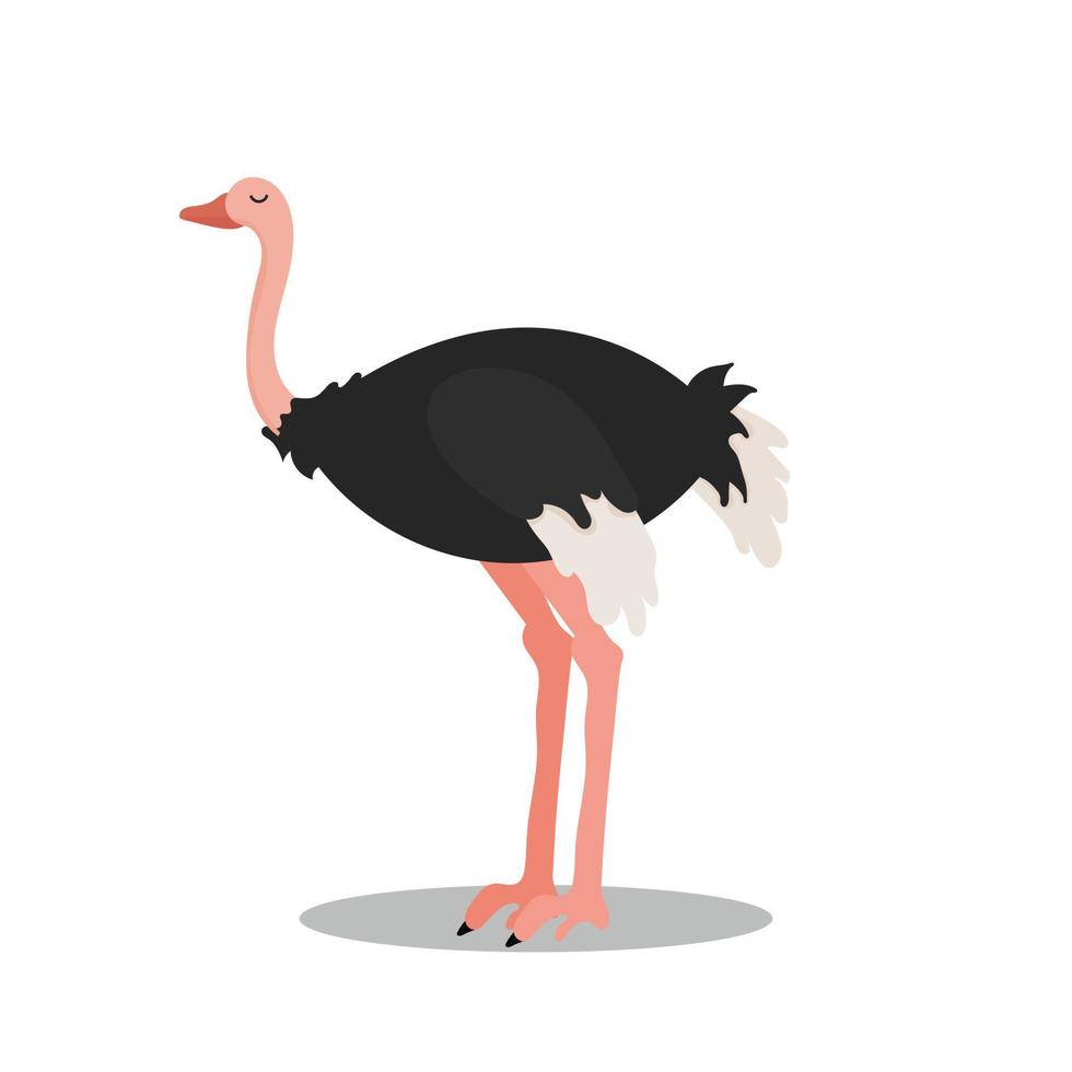 Cute Cartoon Ostrich isolated on white background. Vector illustration.