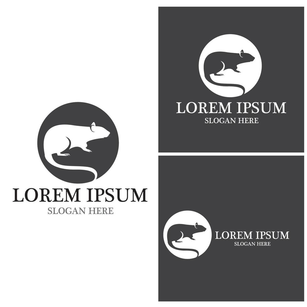 Rat icon and symbol vector illustration