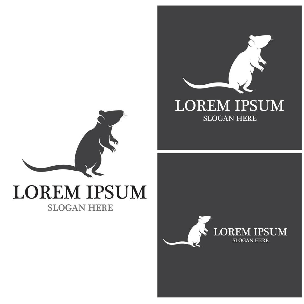 Rat icon and symbol vector illustration