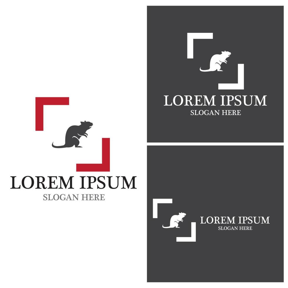 Rat icon and symbol vector illustration