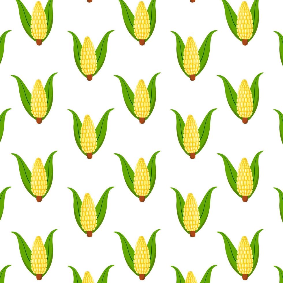 Seamless vector pattern with corn cob plant isolated on white background. Cartoon textile print template. Food vegetable, farm agriculture illustration.