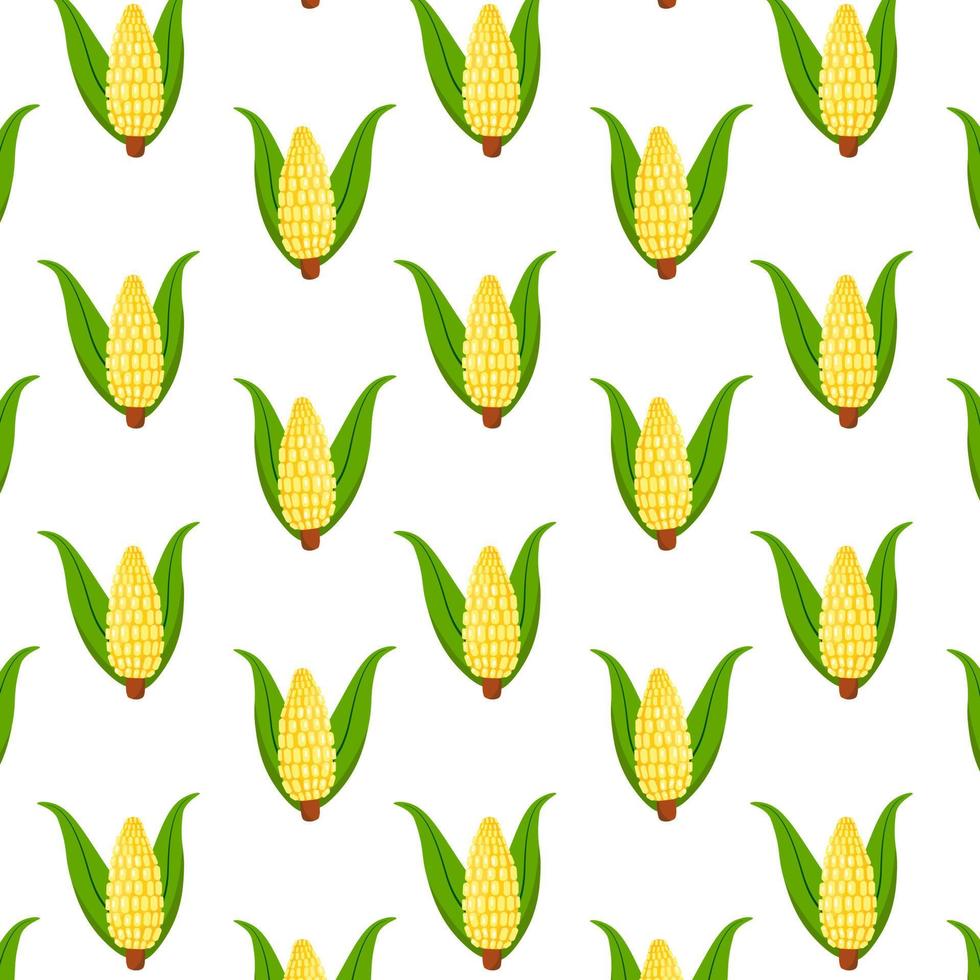 patrón vectorial sin costuras con planta de mazorca de maíz aislada en fondo blanco. plantilla de impresión textil de dibujos animados. alimentos vegetales, ilustración de agricultura agrícola. vector