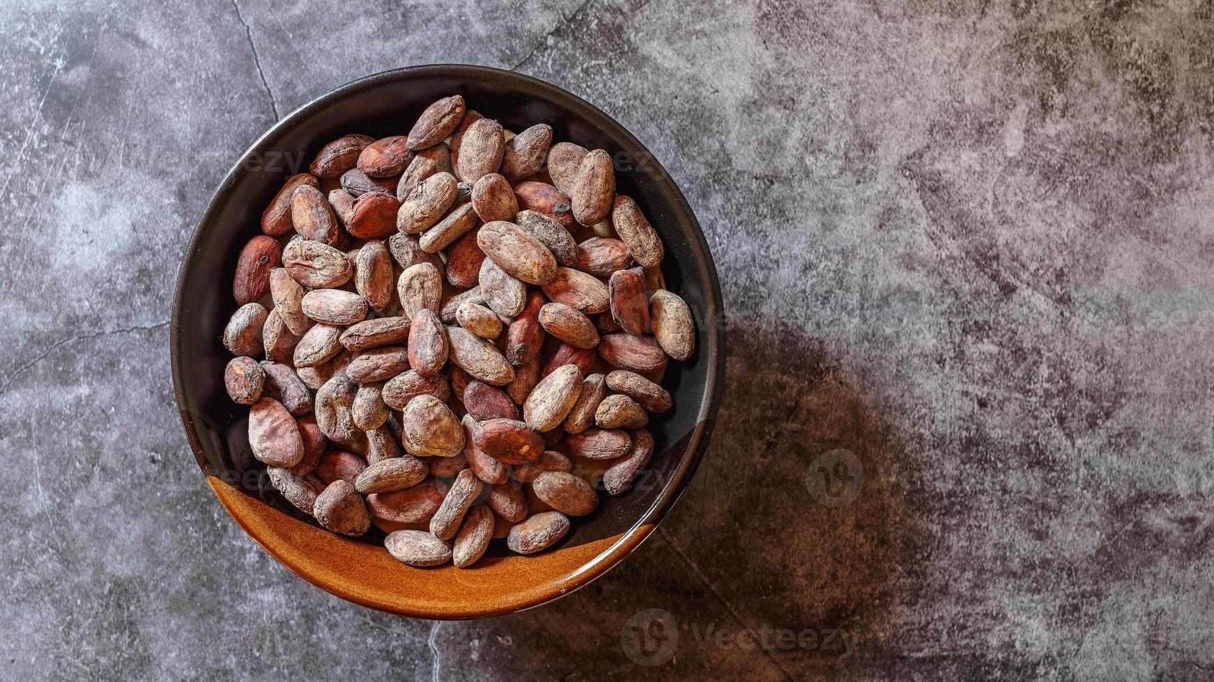 Brown dried cocoa beans in a bowl on a gray background photo