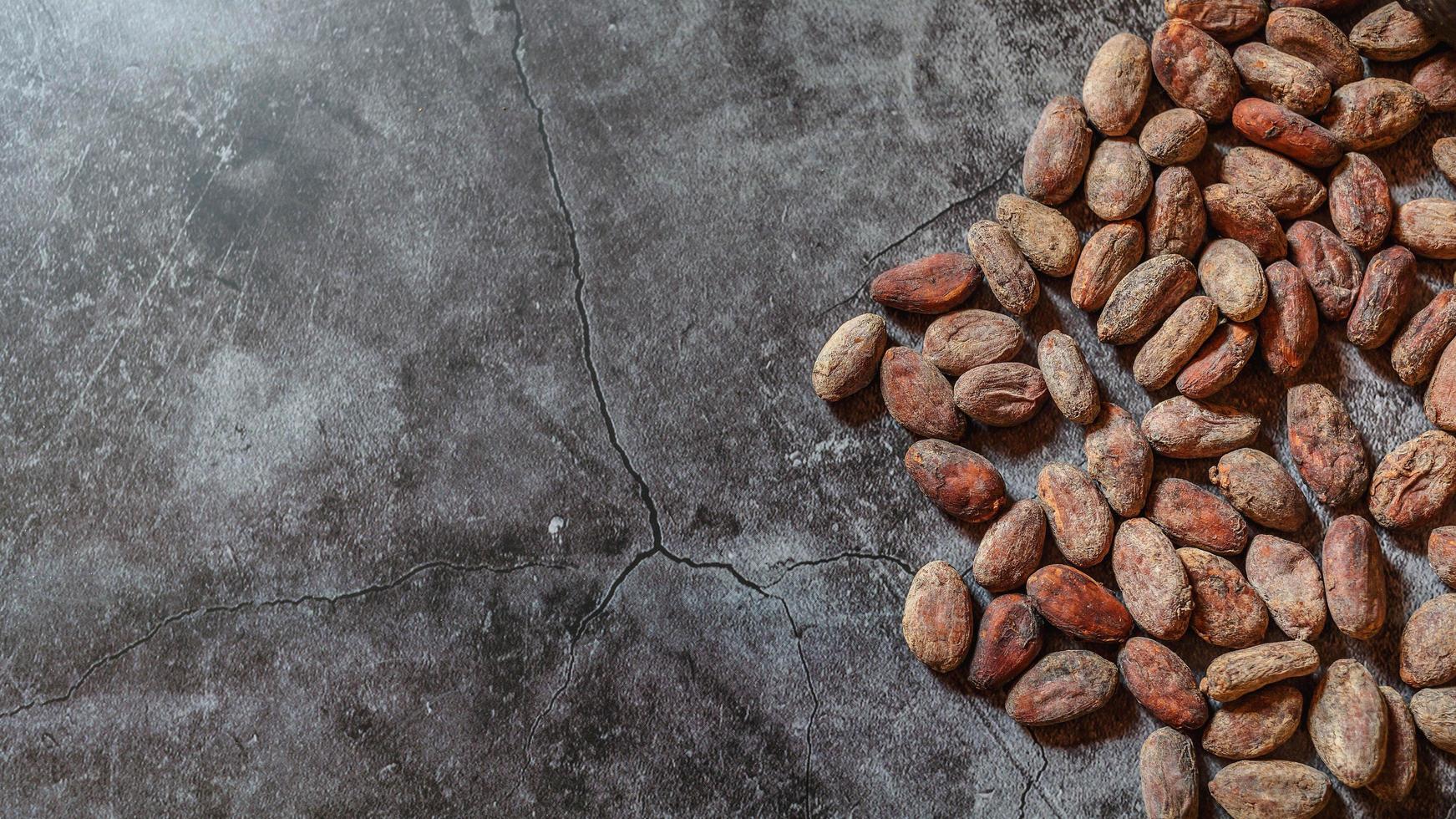 Brown dried cocoa beans on mortar surface background photo