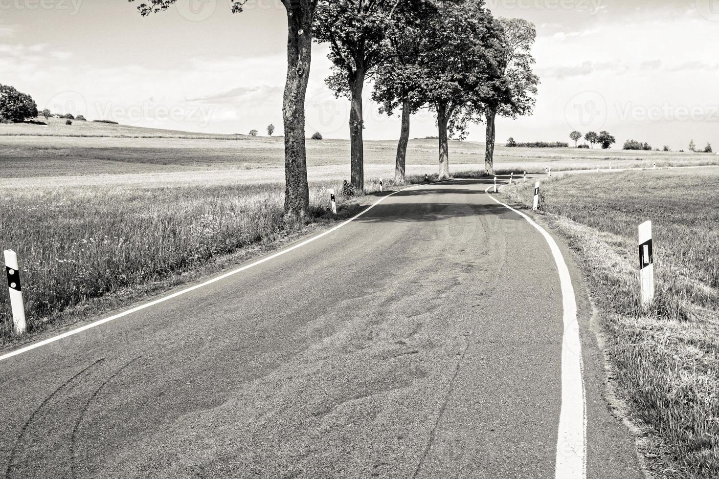 empty asphalt road in a green field against trees photo