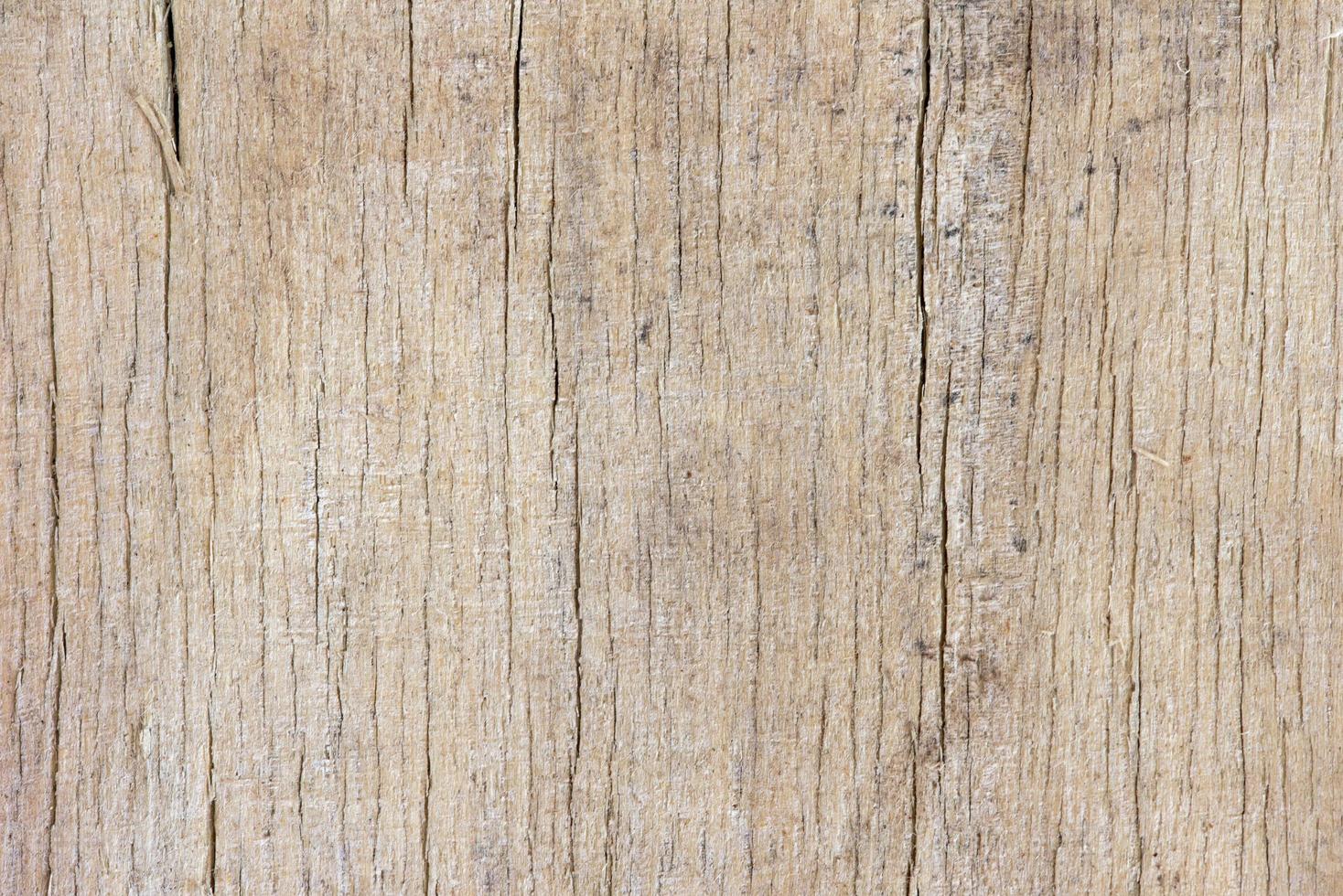 texture of old wooden board photo