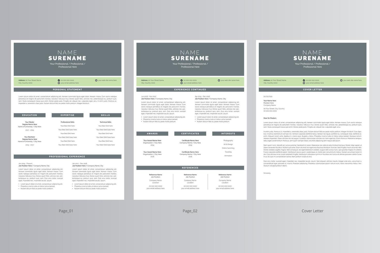 currículum profesional y plantilla de carta de presentación. vector profesional