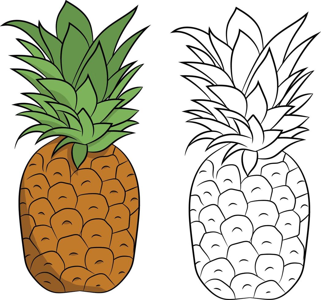 dibujado a mano ilustración de fruta de verano de piña vector