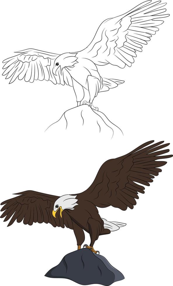 Hand Drawn Bald Eagle Bird Set Isolated Illustration vector