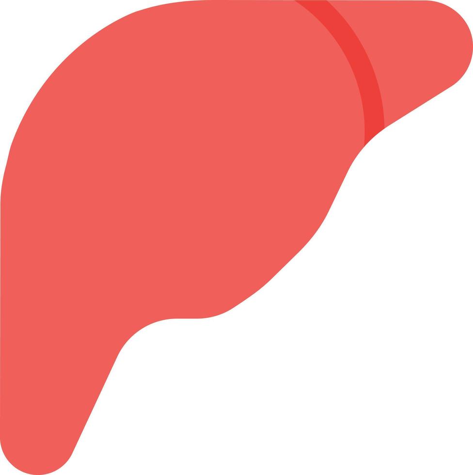 liver vector illustration on a background.Premium quality symbols.vector icons for concept and graphic design.