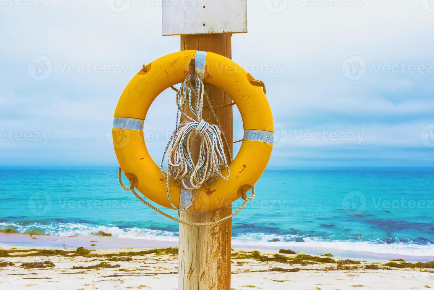 Lifebuoy on the beach photo