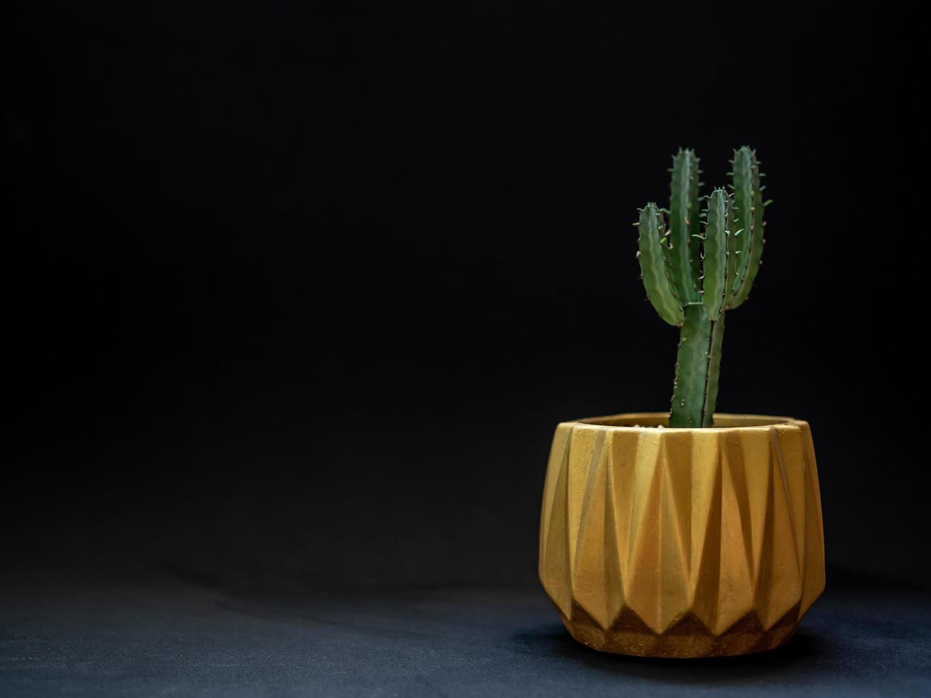 Golden geometric planter. Painted concrete planter for home decoration photo