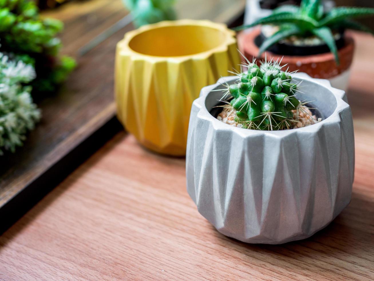 Colorful geometric planters. Painted concrete planters for home decoration photo