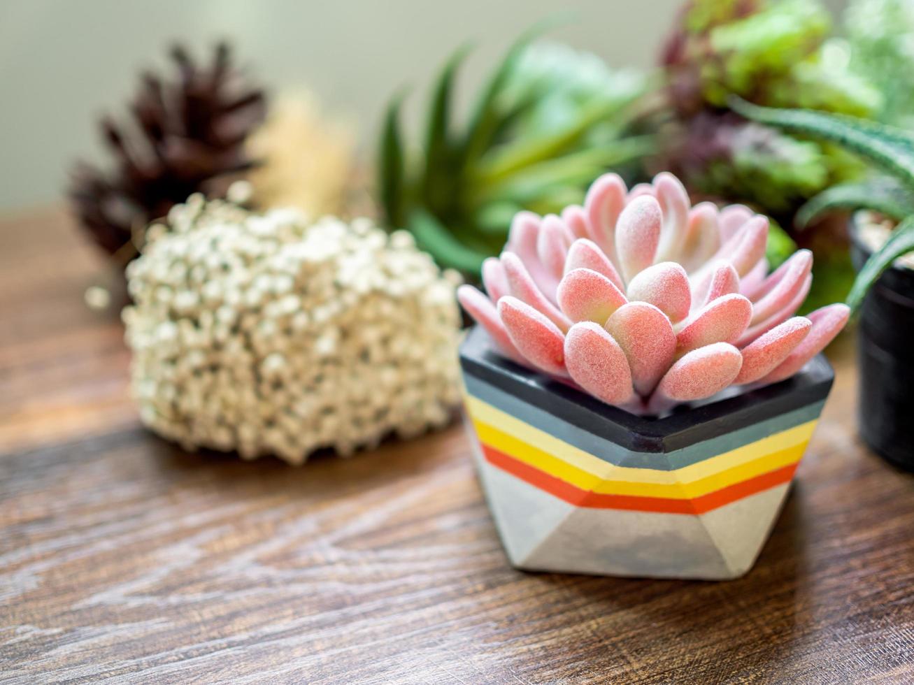 Colorful geometric planter. Painted concrete planter for home decoration photo